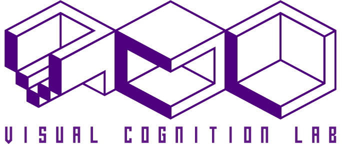Visual Cognition Lab